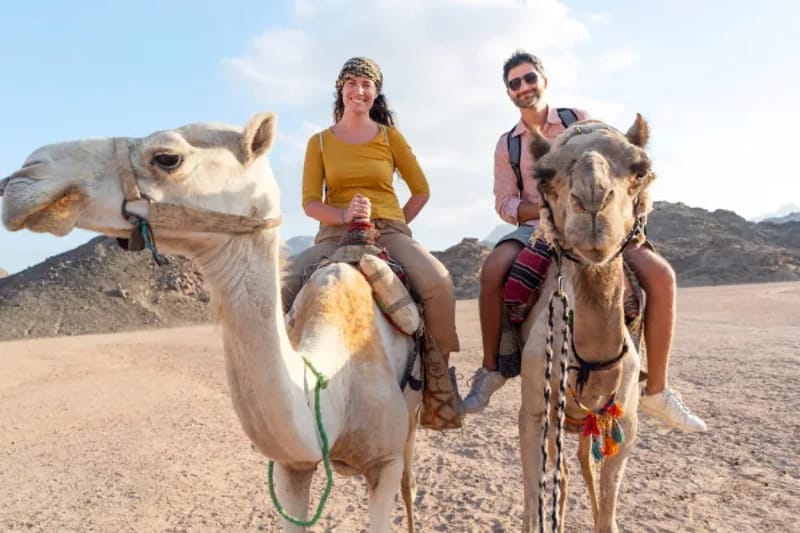 Two travellers riding camels in the desert