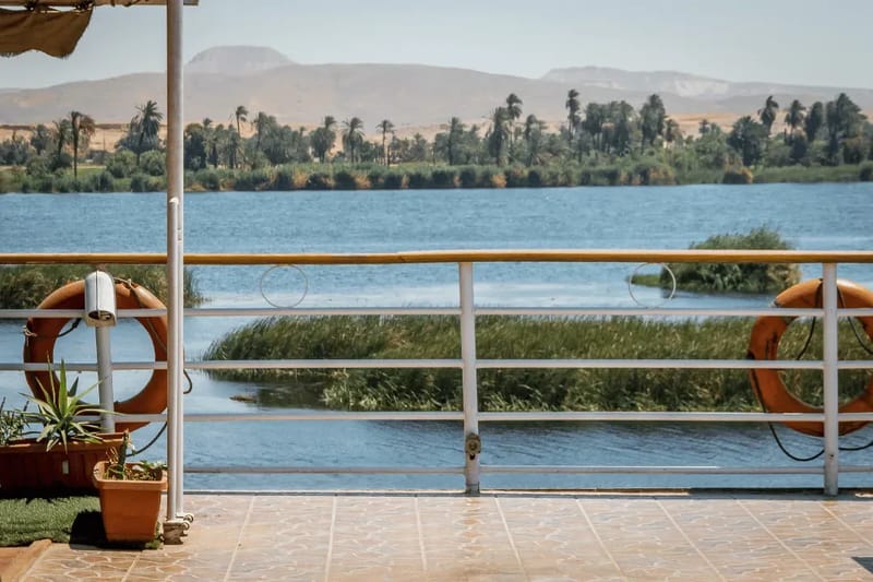 Boat deck railing looking across the Nile to reeds and palm-lined banks