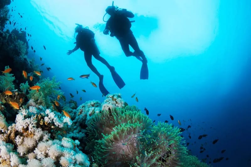 Two scuba divers over a coral reef in the Red Sea