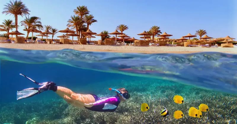 Split view of a snorkeller swimming over coral and yellow fish below a palm-lined beach